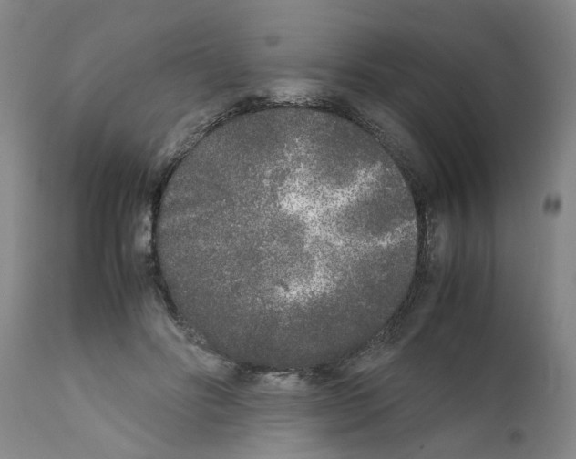 X0000111530502200908251205