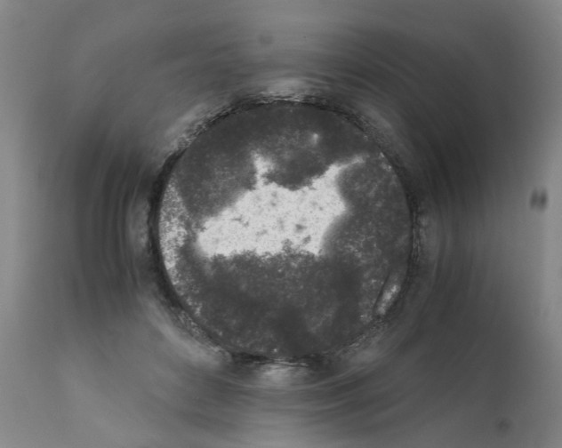 X0000111530504200908251205