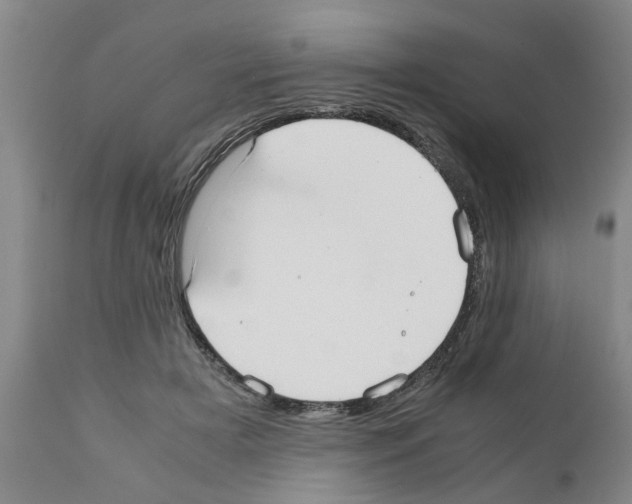 X0000111530505200908251205