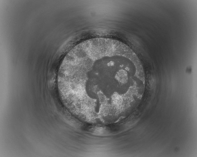 X0000111530507200908251205