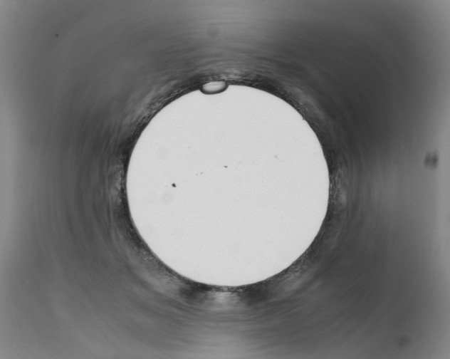 X0000111530509200908251205