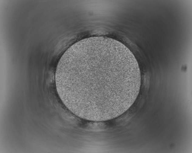 X0000111530517200908251205