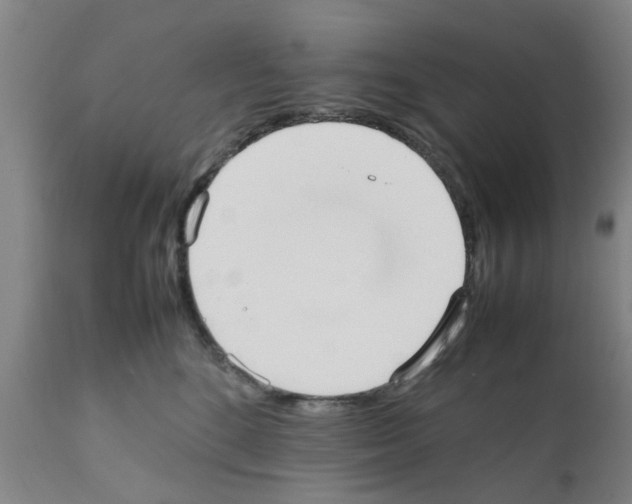 X0000111530520200908251205