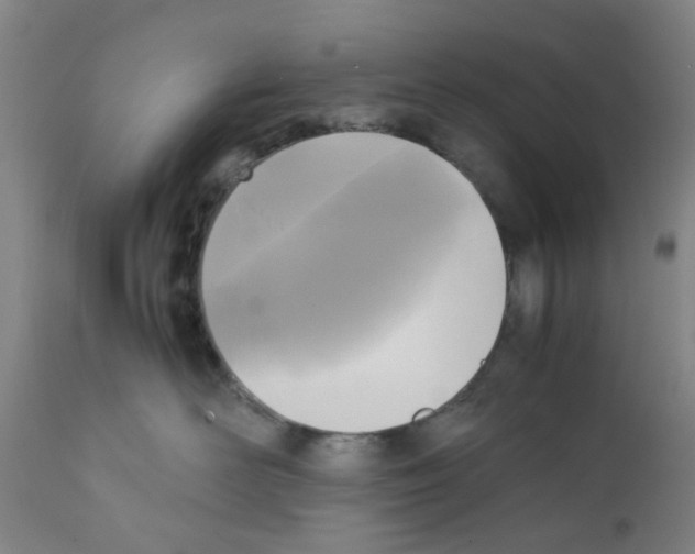 X0000111530526200908251205