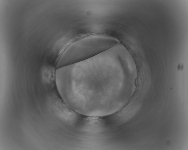 X0000111530528200908251205