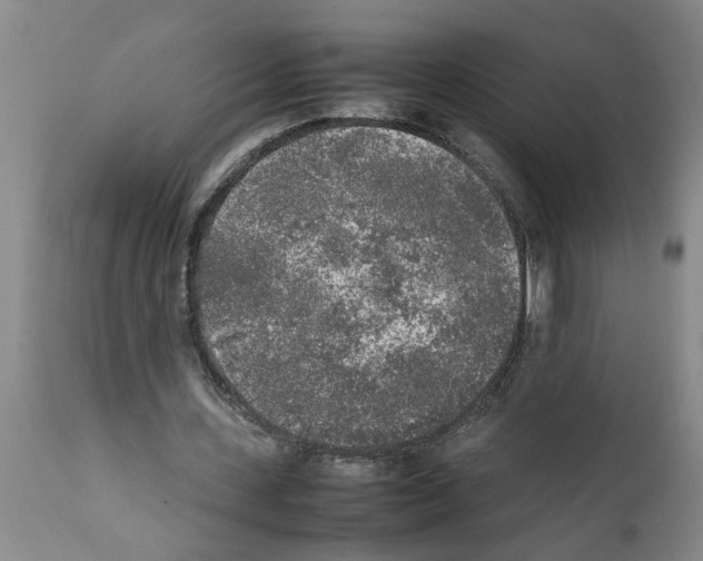 X0000111530531200908251204