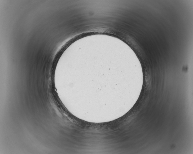 X0000111530532200908251204