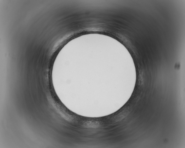 X0000111530535200908251204