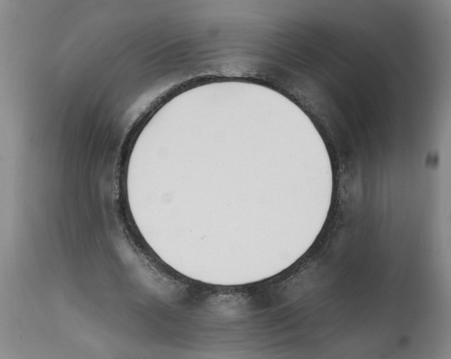 X0000111530536200908251204