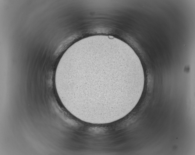 X0000111530537200908251204