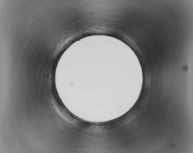 X0000111530538200908251204