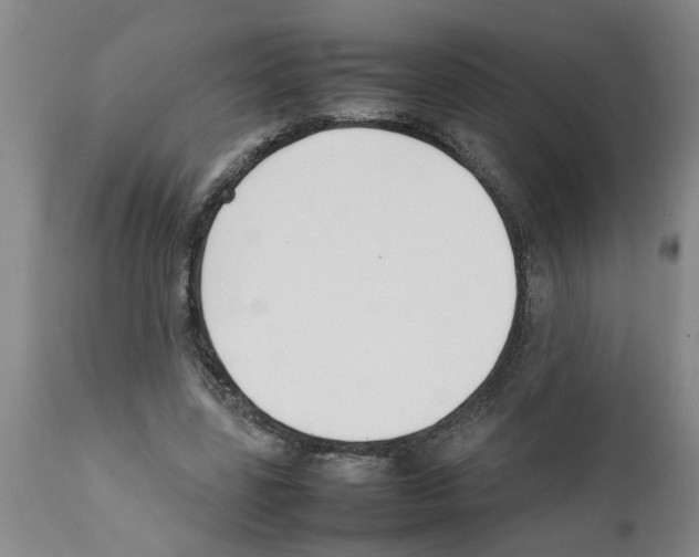 X0000111530539200908251204