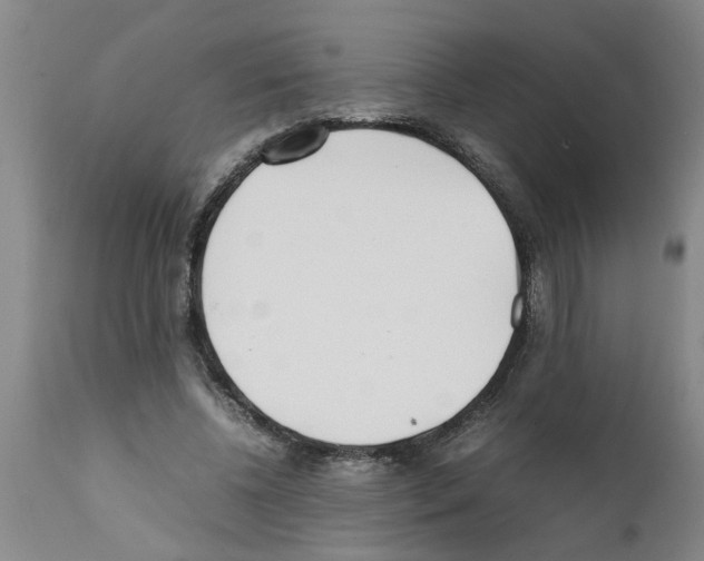 X0000111530540200908251204