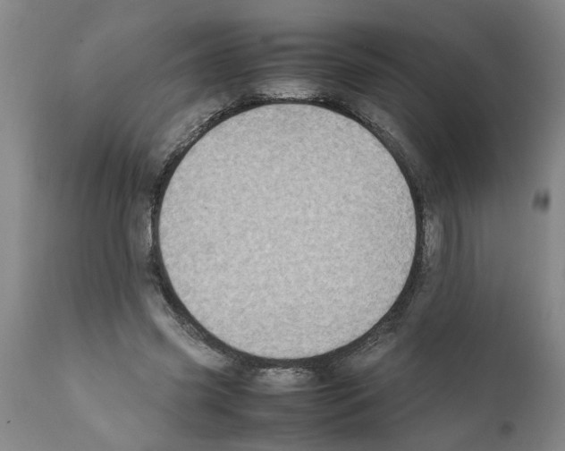 X0000111530541200908251204