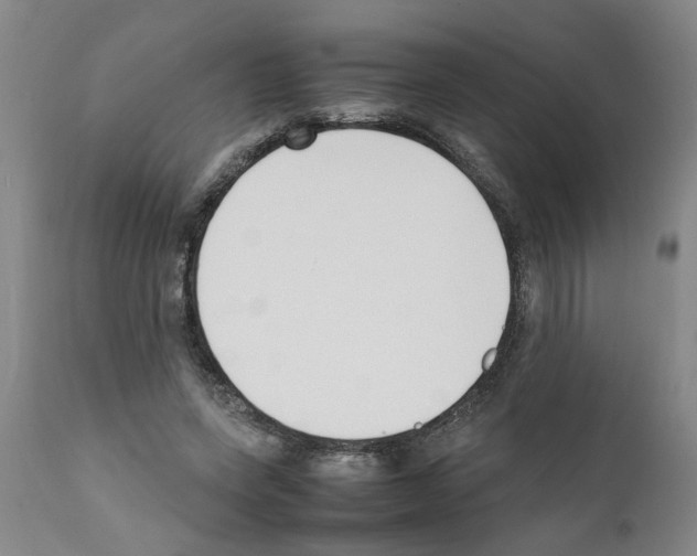 X0000111530543200908251204