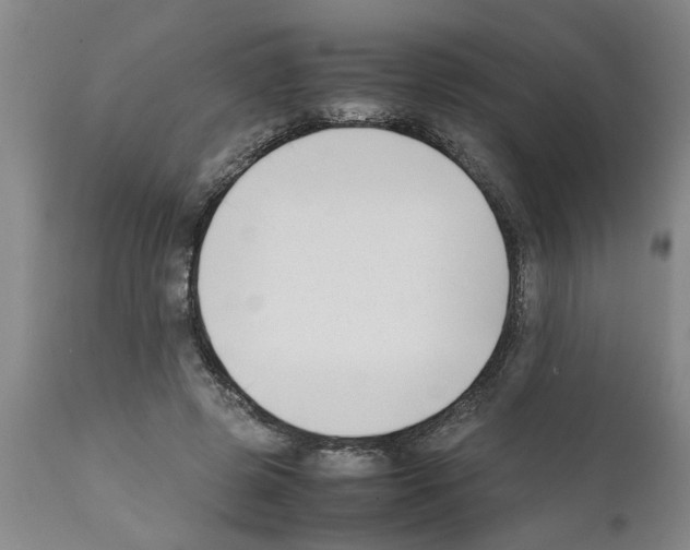 X0000111530545200908251204