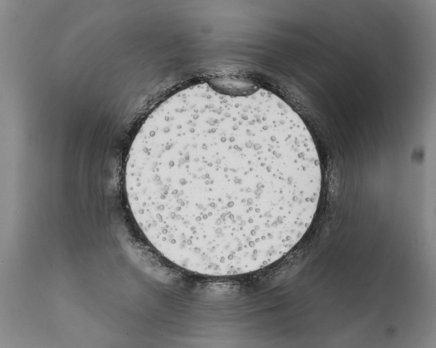 X0000111530546200908251204