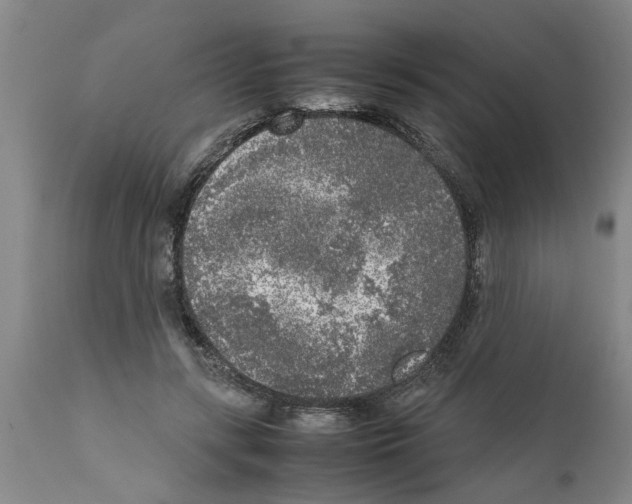 X0000111530547200908251204