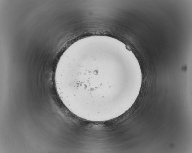 X0000111530548200908251204