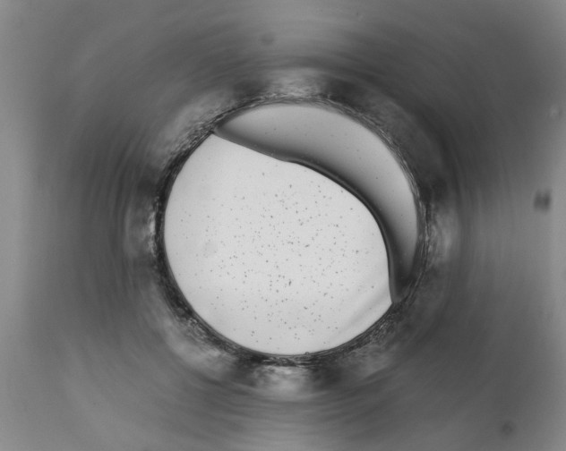 X0000111530552200908251204