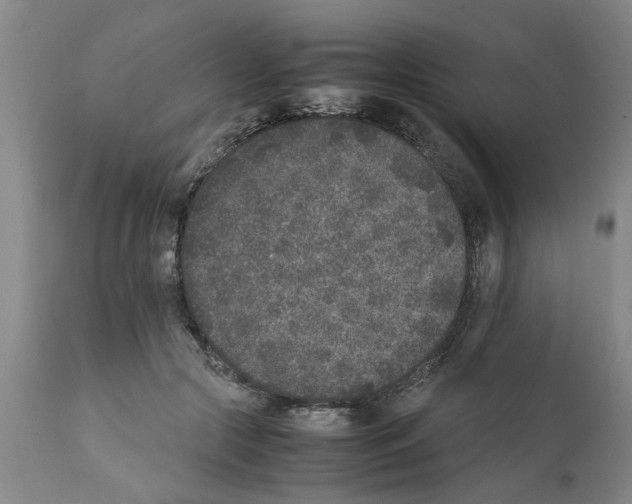 X0000111530553200908251204