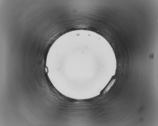 X0000111530556200908251204