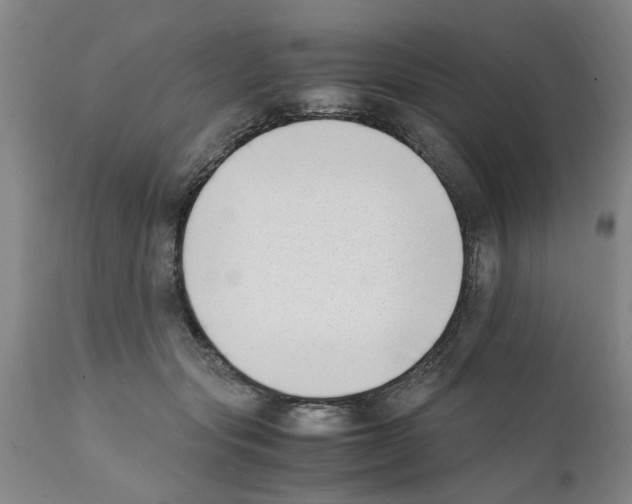 X0000111530557200908251205