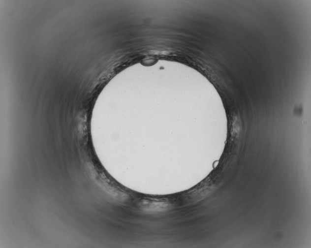 X0000111530559200908251205