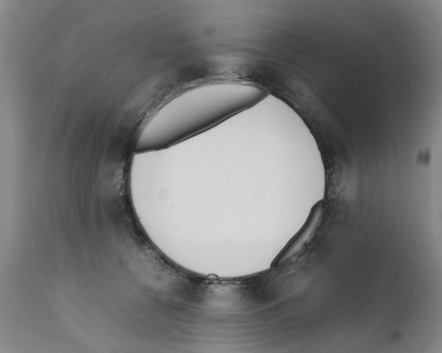 X0000111530560200908251205