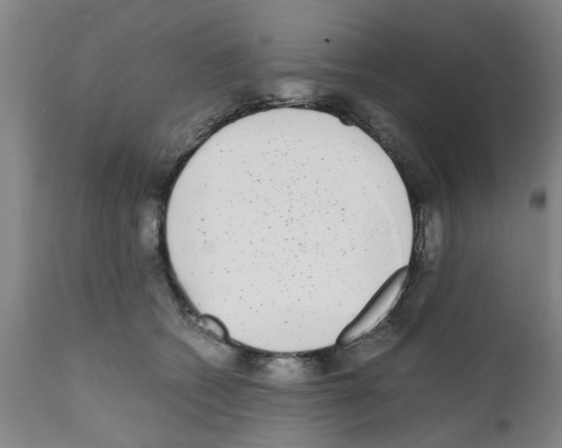 X0000111530562200908251205