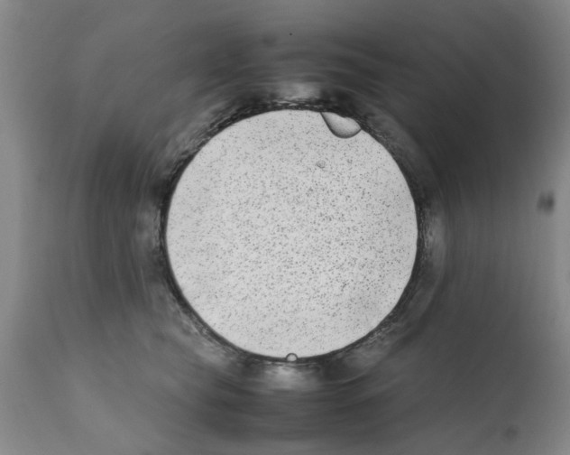 X0000111530565200908251205