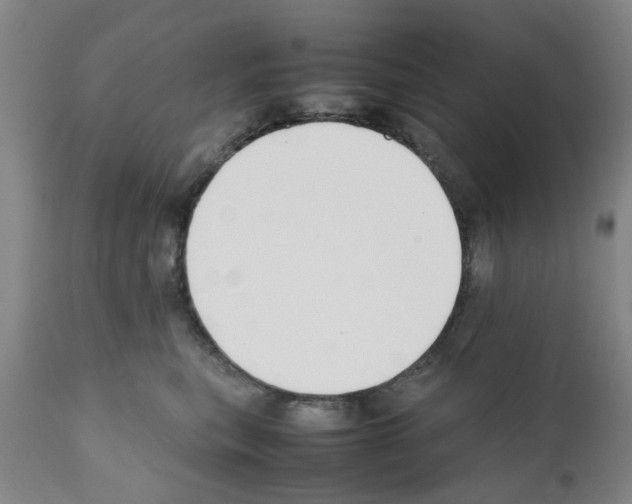 X0000111530567200908251205