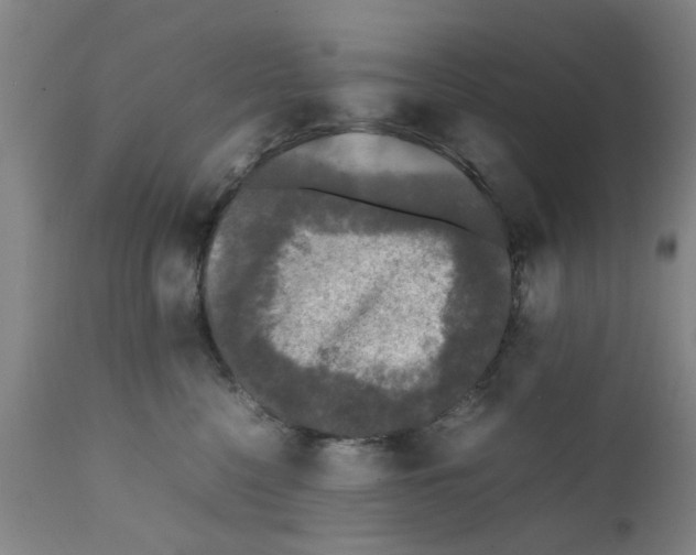 X0000111530568200908251205