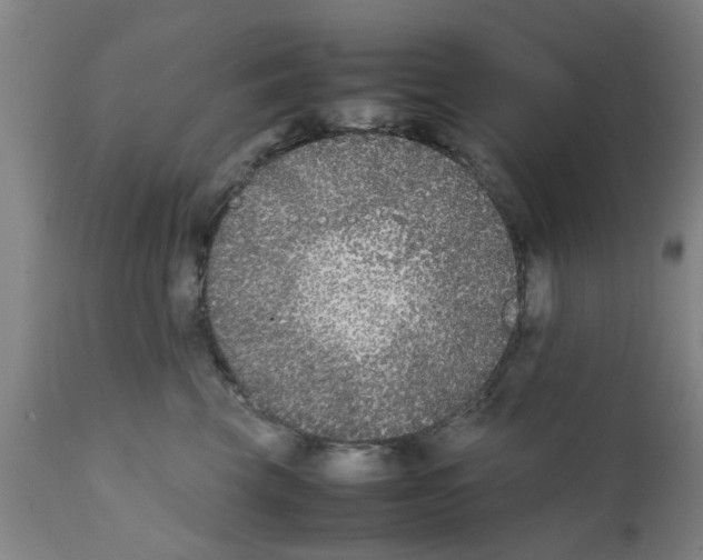 X0000111530569200908251205