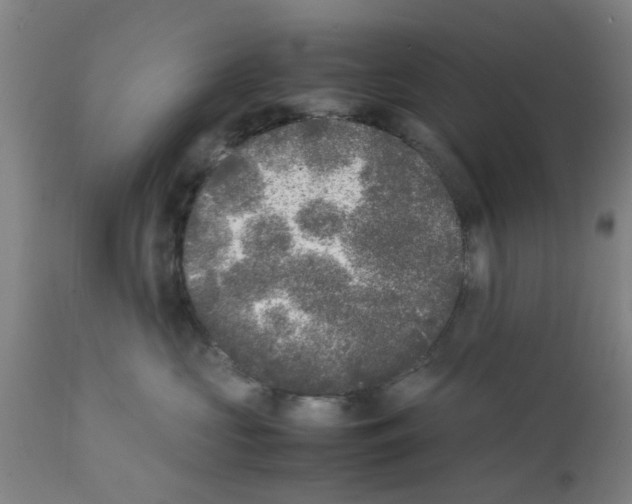 X0000111530573200908251205