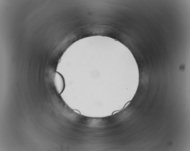 X0000111530575200908251205