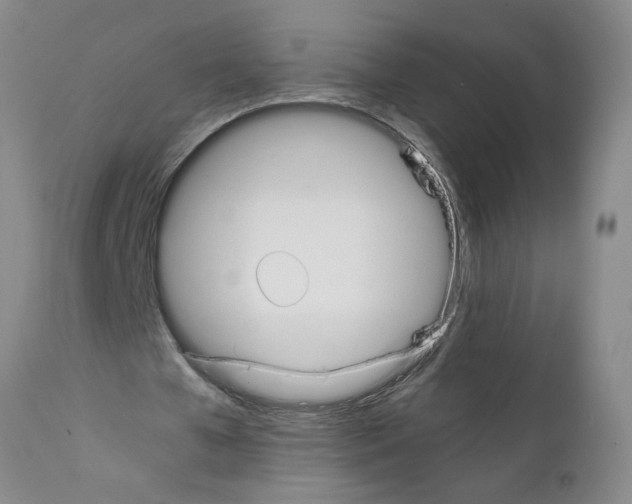 X0000111530577200908251204