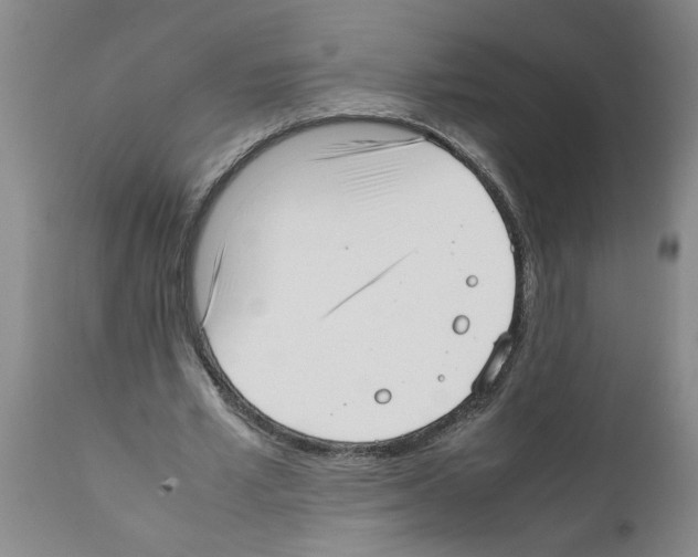 X0000111530581200908251204