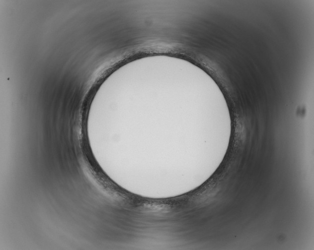 X0000111530582200908251204