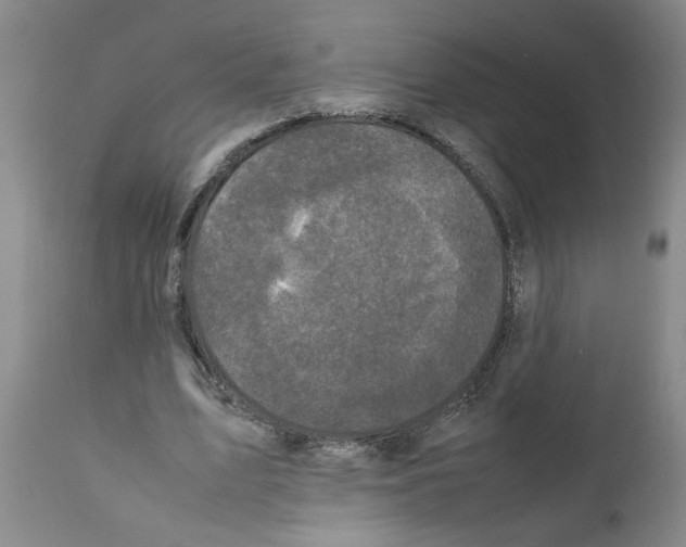 X0000111530583200908251204