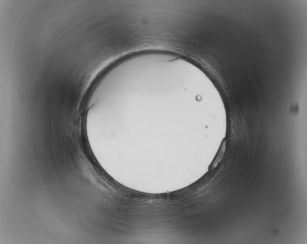 X0000111530584200908251204