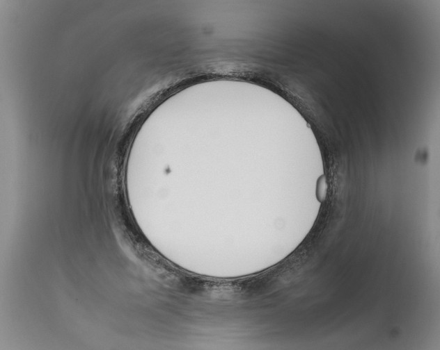 X0000111530587200908251204