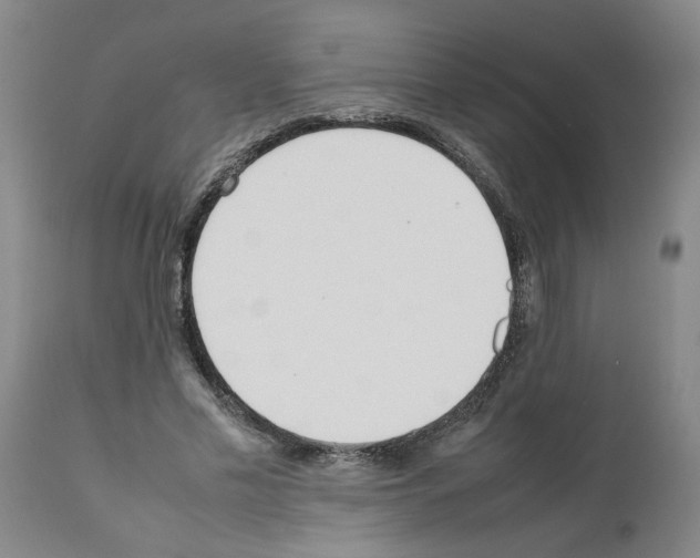 X0000111530589200908251204