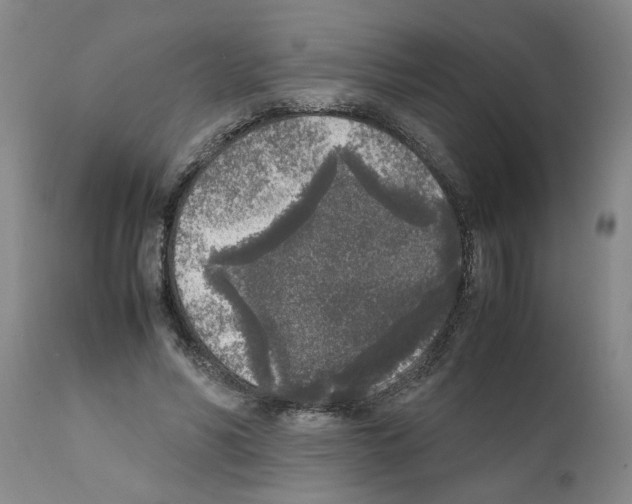 X0000111530590200908251204