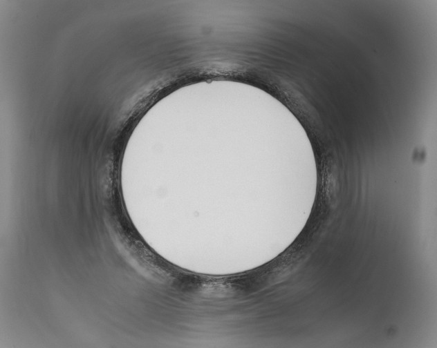 X0000111530591200908251204