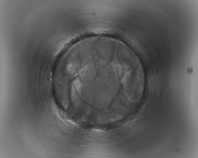 X0000111530592200908251204