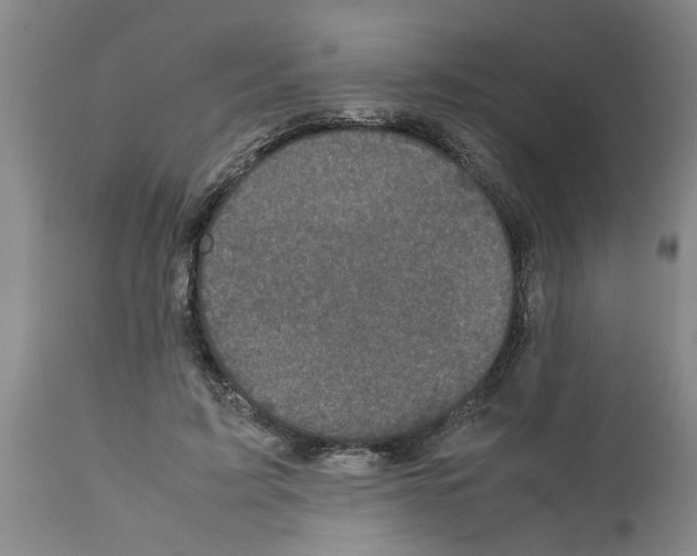 X0000111530595200908251204