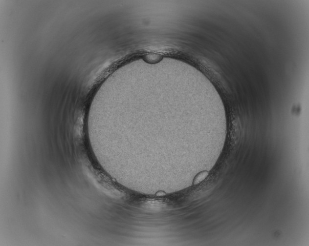 X0000111530596200908251204