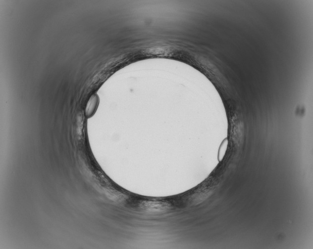 X0000111530597200908251204