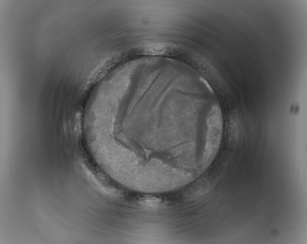 X0000111530598200908251204